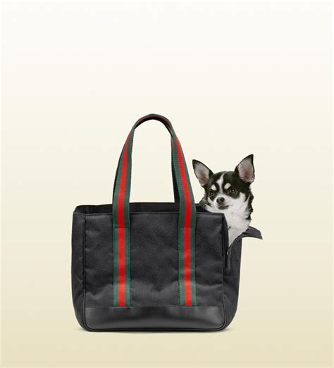 Gucci pet products